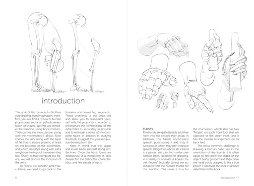 Morpho: Hands And Feet - Art Department LLC