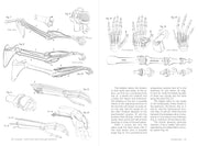 Morpho: Joint Forms And Muscular Functions - Art Department LLC