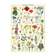 Decorative Paper 19.75 x 27.5 - Art Department LLC