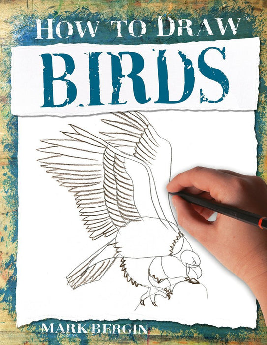 How to Draw Birds - Art Department LLC