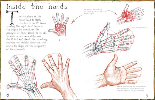 How to Draw Hands and Feet - Art Department LLC