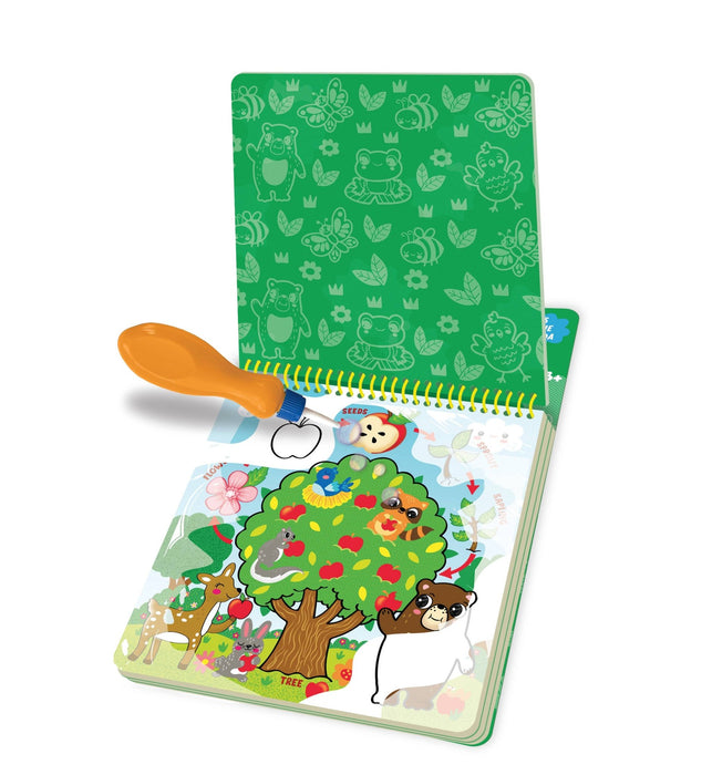 Splash*Tastic Life Cycles - Art Department LLC