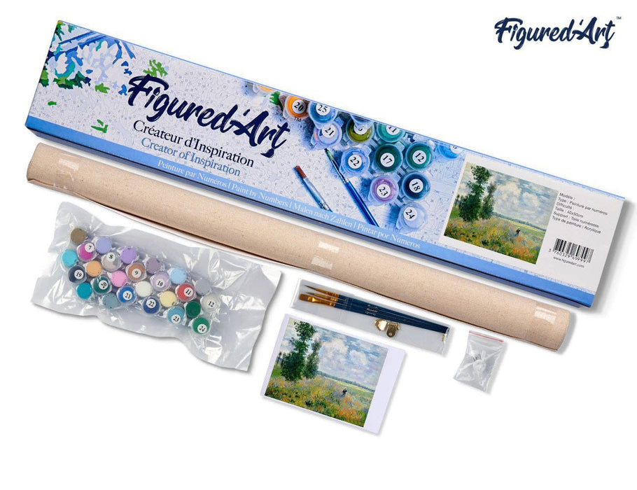 Paint by numbers - Monet Field of Poppies - Art Department LLC