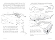 Morpho: Mammals - Art Department LLC