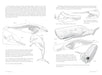 Morpho: Mammals - Art Department LLC
