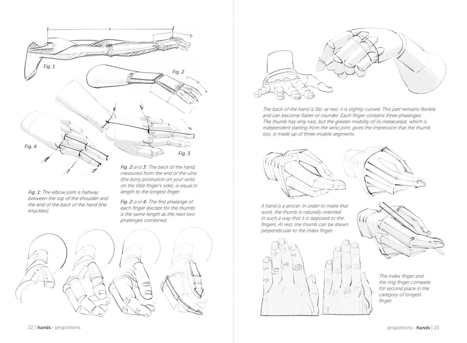 Morpho: Hands And Feet - Art Department LLC