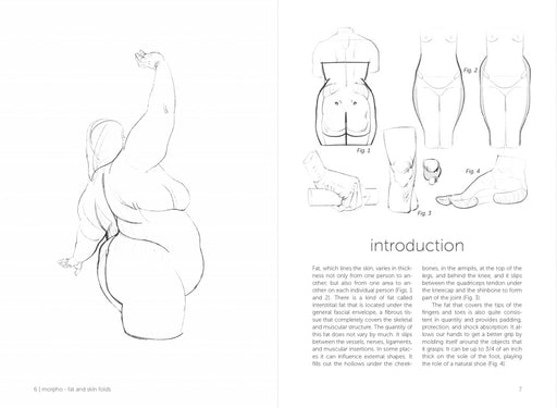 Morpho: Fat And Skin Folds - Art Department LLC
