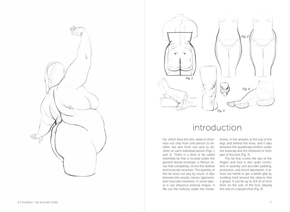 Morpho: Fat And Skin Folds - Art Department LLC