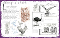 How to Draw Birds - Art Department LLC