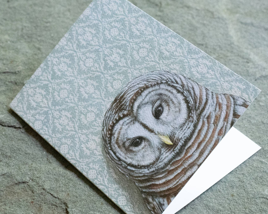 Barred Owl - Note Card - Art Department LLC