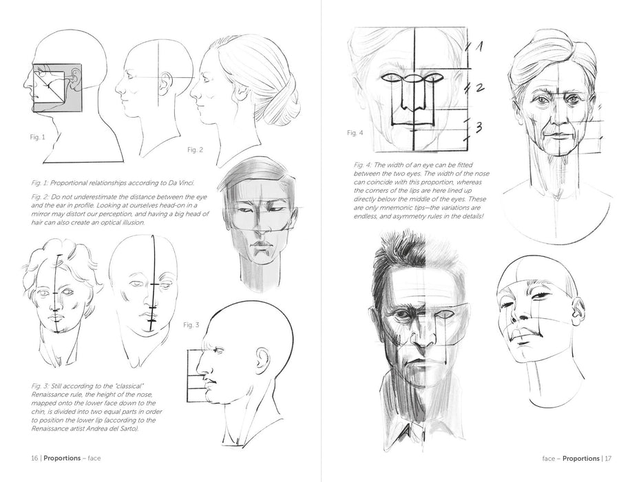 Morpho: Face, Head, And Neck - Art Department LLC