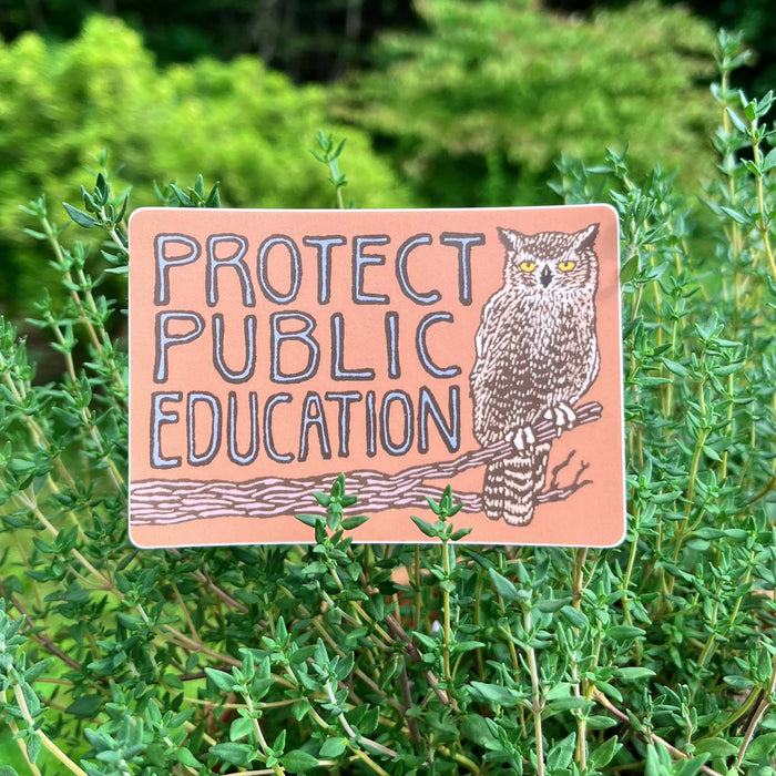 Protect Public Education Sticker | matte vinyl owl
