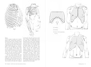 Morpho: Joint Forms And Muscular Functions - Art Department LLC