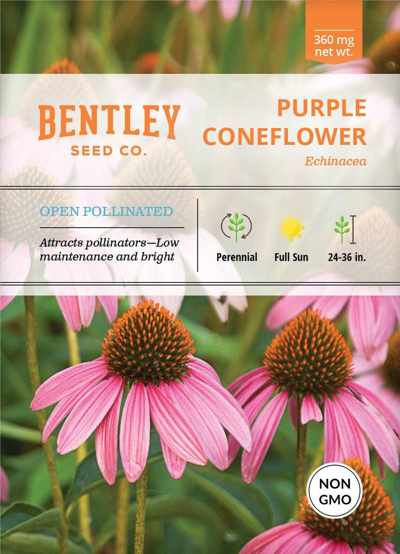 Bentley Seed Co. Seed Packets - Art Department LLC