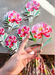 Peony - Clear Sticker - Art Department LLC