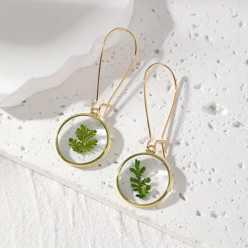 Dried Flower Round Transparent Dangle Earrings