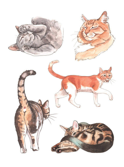 Cat's Meow Sticker Book - Art Department LLC