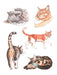 Cat's Meow Sticker Book - Art Department LLC