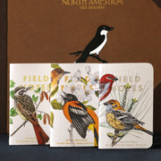 Birds and Trees of North America - Art Department LLC