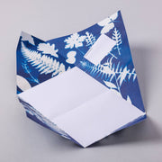 Apothecary Pigeon, Botanical Folding Letter Set - Pack of 6 - Art Department LLC