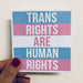 Trans Rights are Human Rights sticker - Art Department LLC