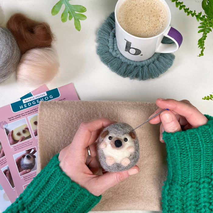 Hedgehog Needle Felting Kit