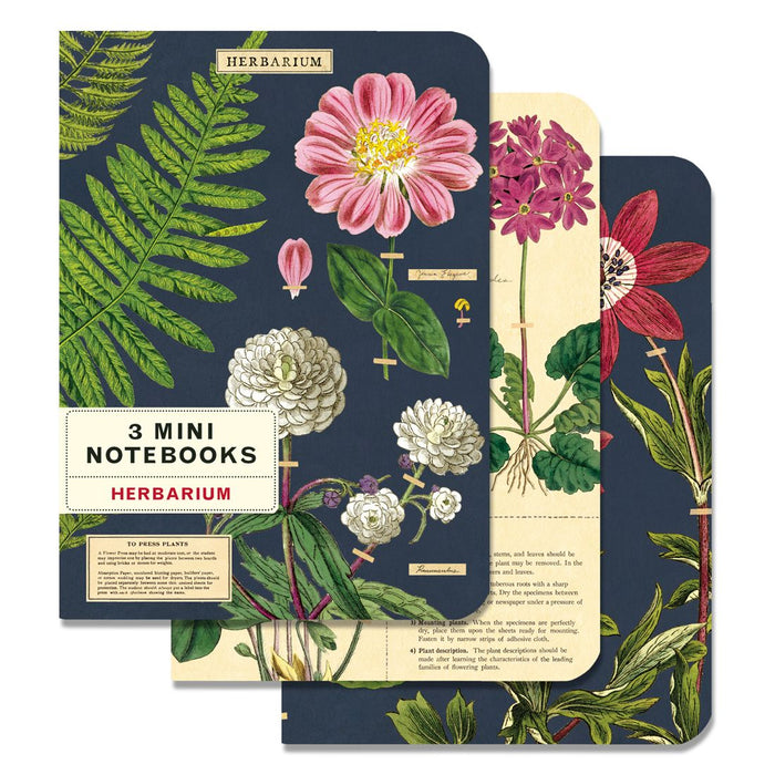 Mini Notebooks Set/3 - Art Department LLC