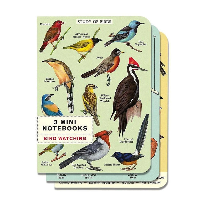 Mini Notebooks Set/3 - Art Department LLC