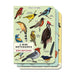 Mini Notebooks Set/3 - Art Department LLC