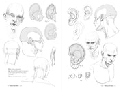 Morpho: Skeleton And Bone Reference Points - Art Department LLC