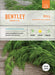 Bentley Seed Co. Seed Packets - Art Department LLC