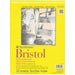 Bristol Board 20 sheets 100lb 9X12