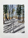Watercolor/Acrylic Open Studio with Claire Diehl Spring 2026 - Art Department LLC