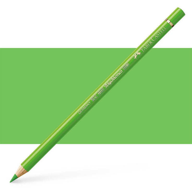 Faber - Castell Assorted Polychromos A - Art Department LLC