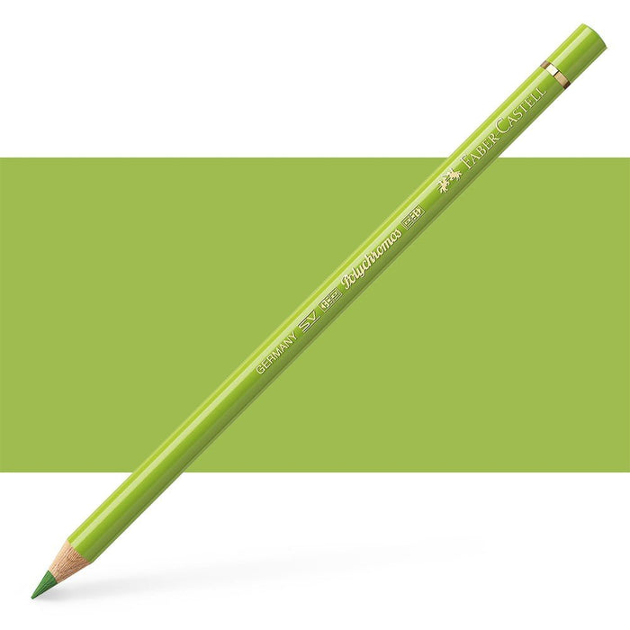 Faber - Castell Assorted Polychromos A - Art Department LLC