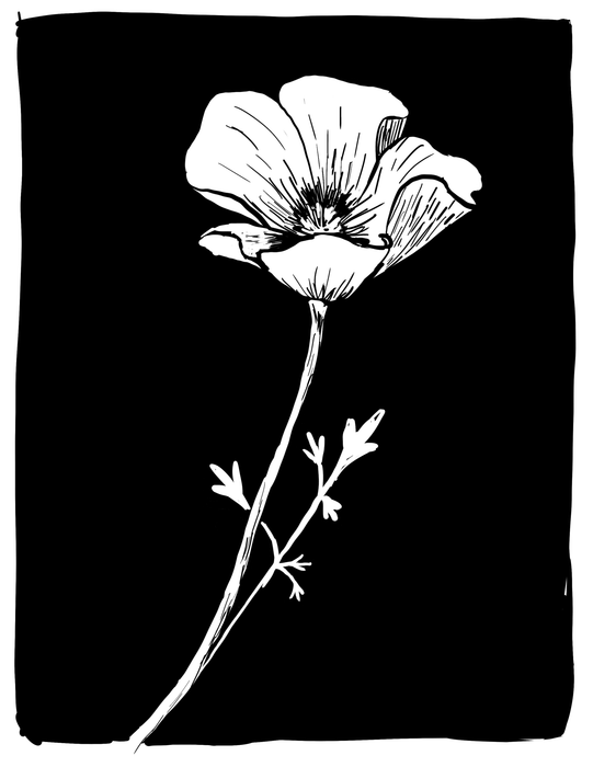 Intro to Linocut Printing with Bella Ramey - Art Department LLC