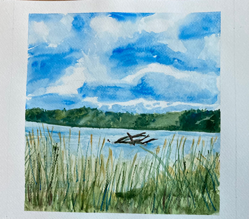 Loose Watercolor for Beginners with Claire Diehl Summer 2024 — Art