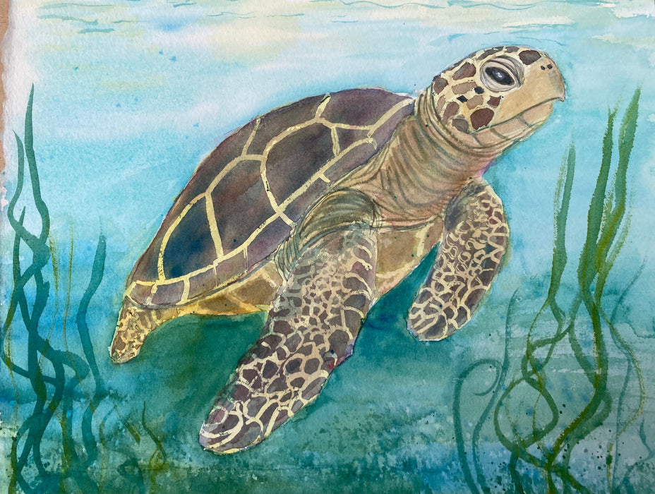 Watercolor Sea Turtle in Two Ways with Claire Diehl