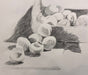 Gestural Still Life Drawing with Lucy Hewitt - Art Department LLC