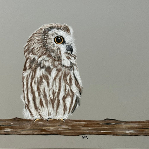 Introduction to Pastel Drawing with Shelly Mackerell - Art Department LLC