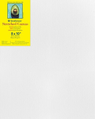 300 Artist Grade Stretched Canvas Gallery - Art Department LLC