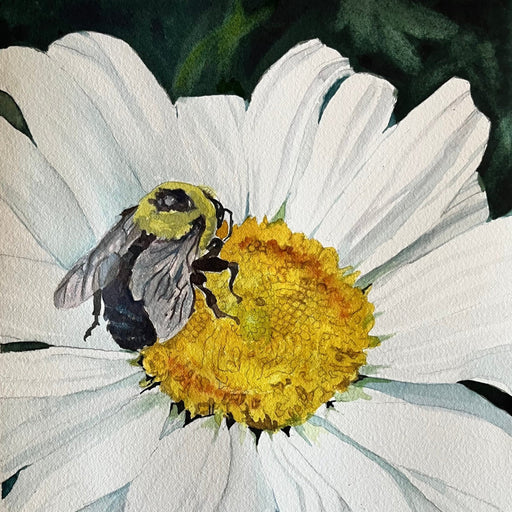 Watercolor Realism: Daisy and Bumble Bee - Art Department LLC