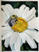 Watercolor Realism: Daisy and Bumble Bee - Art Department LLC