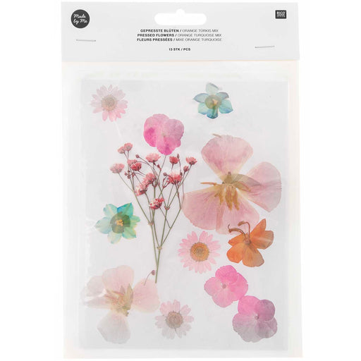 Pressed Flower & Plant Sets