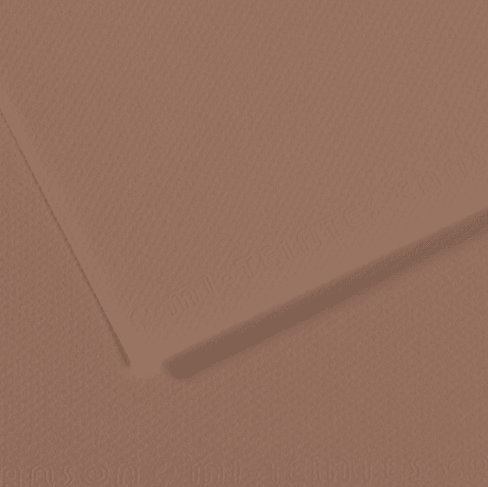 Canson Mi - Teintes Paper Sheet 19”x25” - Art Department LLC