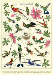 Decorative Paper 19.75 x 27.5 - Art Department LLC