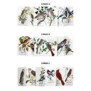 Birds and Trees of North America - Art Department LLC