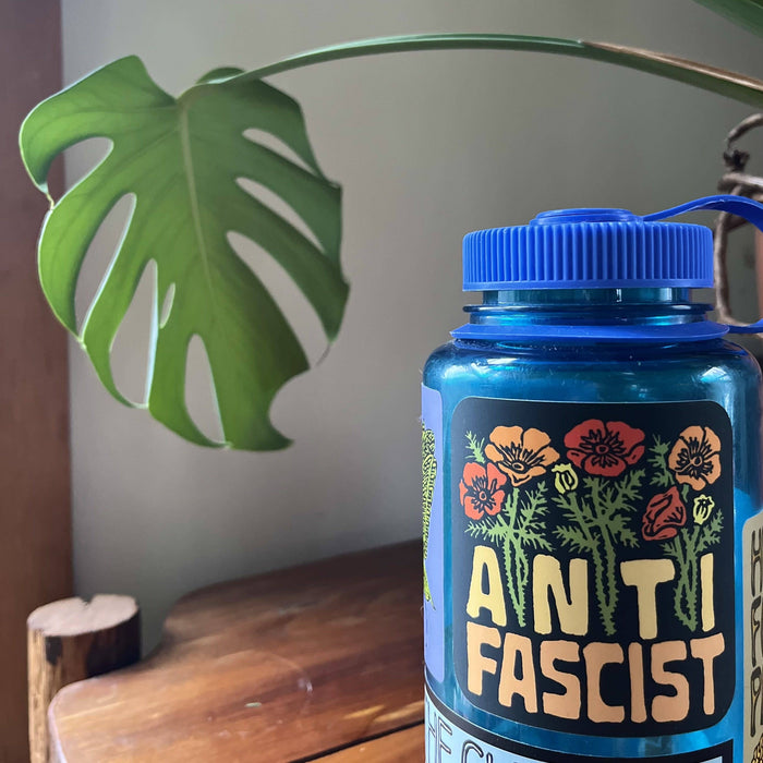 Anti Fascist Sticker | social justice matte vinyl