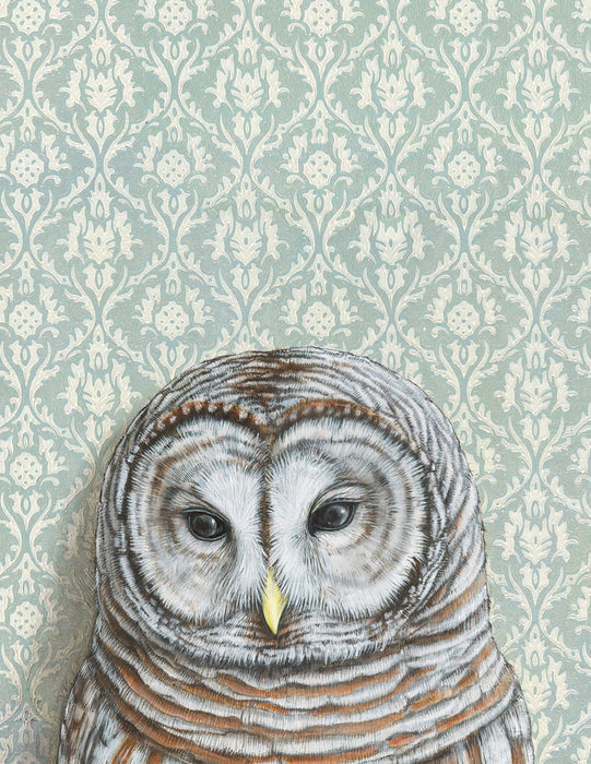 Barred Owl - Note Card - Art Department LLC