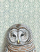 Barred Owl - Note Card - Art Department LLC